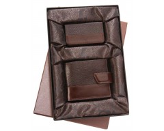Набор Alvaro: портмоне и футляр для визиток, коричневый