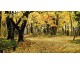 Календарь ТРИО MAXI «Осенний парк»