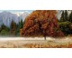 Календарь ТРИО MAXI «Осень в горах»